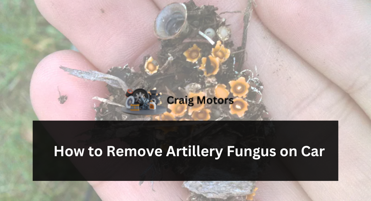 How to Remove Artillery Fungus on Car
